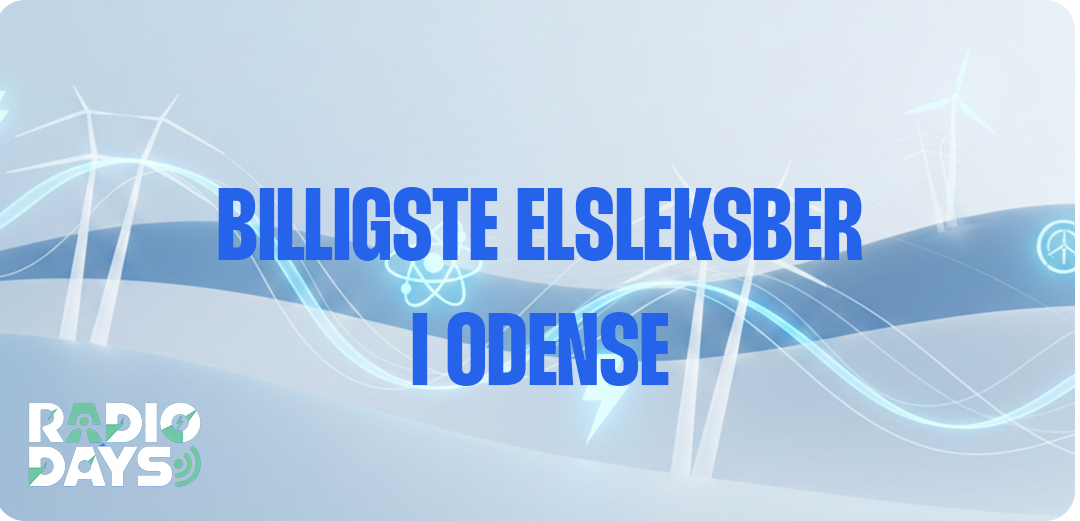 Top 5 billigste elselskaber i Odense i 2026