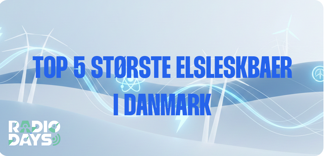 Top 5 største elselskaber i Danmark