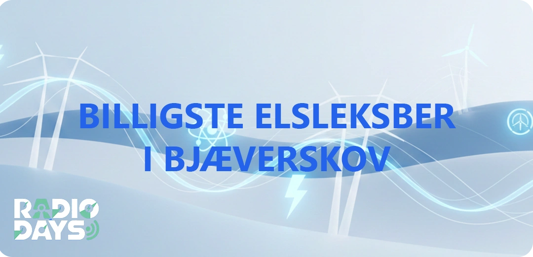 de 10 billigste elselskaber i Bjæverskov