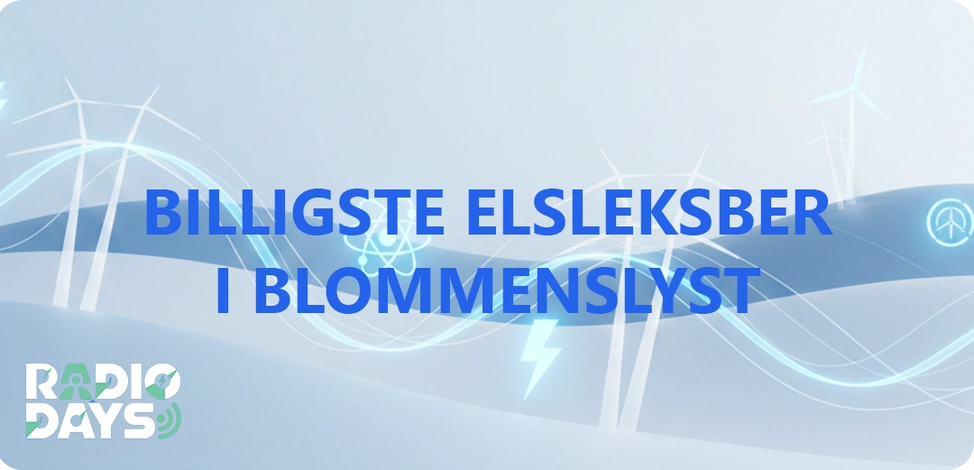 de 10 billigste elselskaber i Blommenslyst