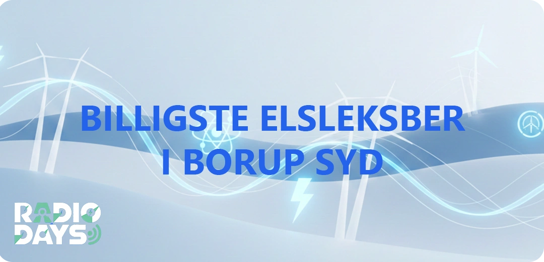 de 10 billigste elselskaber i Borup Syd