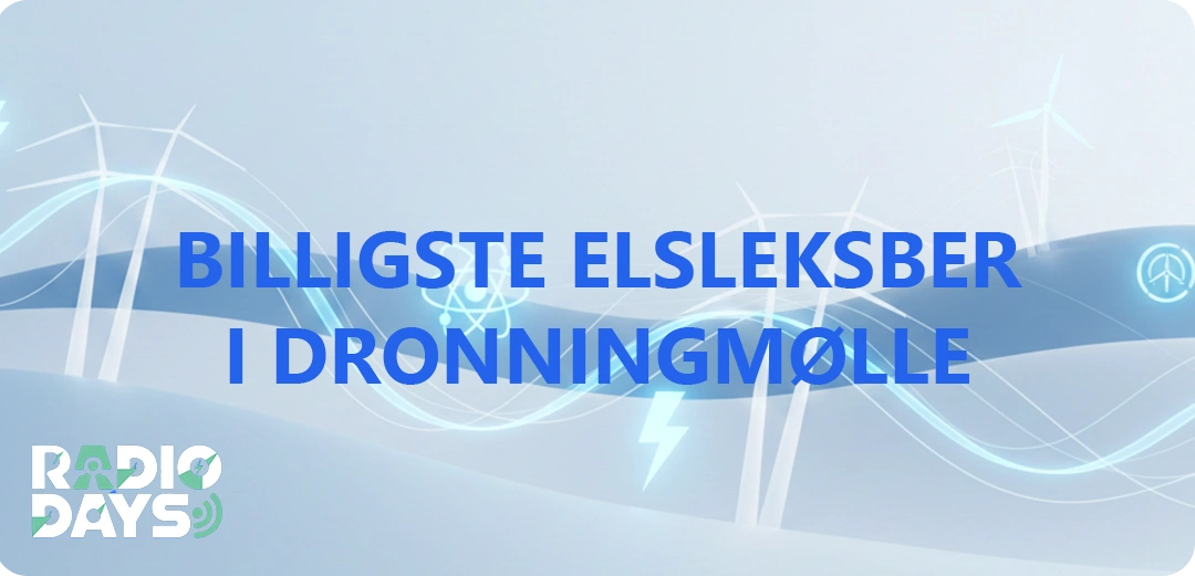 de 10 billigste elselskaber i Dronningmølle
