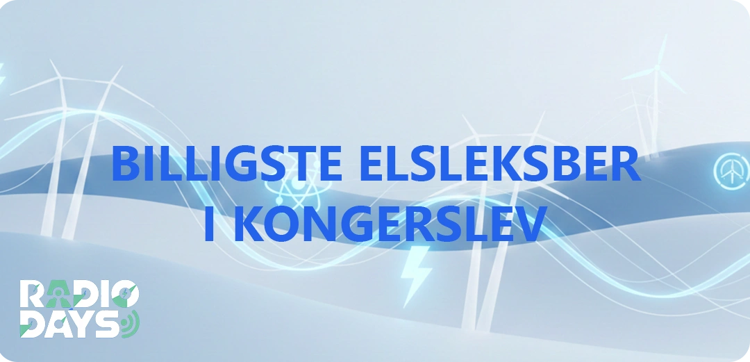 de 10 billigste elselskaber i Kongerslev