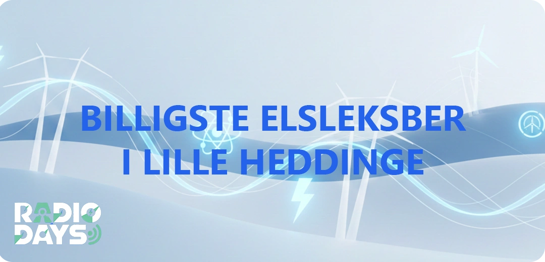 de 10 billigste elselskaber i Lille Heddinge